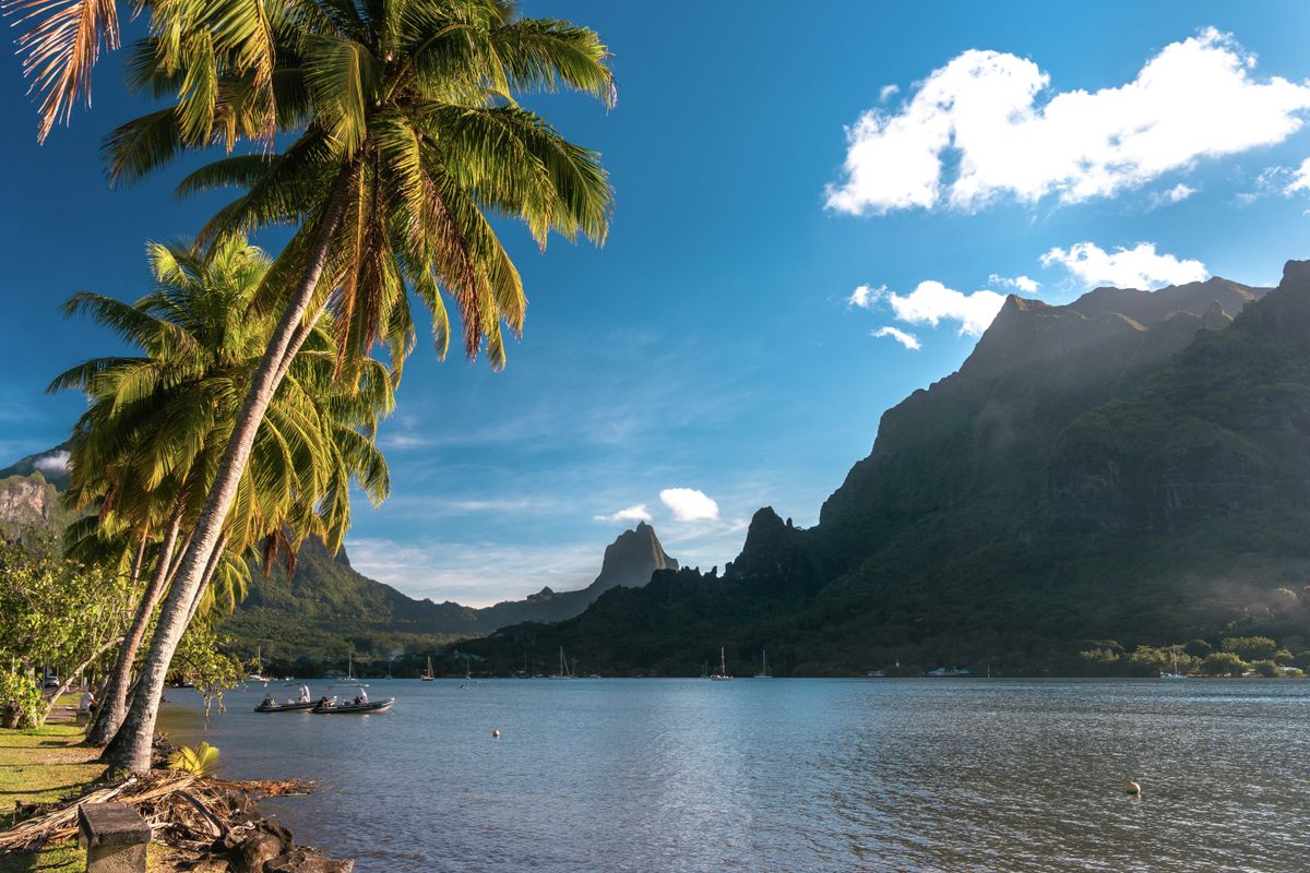 Tahiti Moorea Ultra-Trail : Yoann Lecauchois s'offre un deuxième sacre sur le 105 km